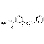 N-benzyl-3-(hydrazinocarbonyl)benzenesulfonamide