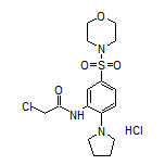 2-Chloro-N-[5-(morpholinosulfonyl)-2-(1-pyrrolidinyl)phenyl]acetamide Hydrochloride