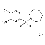 5-(azepan-1-ylsulfonyl)-2-chloroaniline hydrochloride