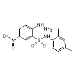 N-(2,4-Dimethyl-phenyl)-2-hydrazino-5-nitro-benzenesulfonamide