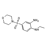 N-[2-amino-4-(morpholin-4-ylsulfonyl)phenyl]-N-ethylamine