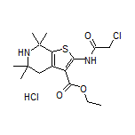 Ethyl 2-(2-Chloroacetamido)-5,5,7,7-tetramethyl-4,5,6,7-tetrahydrothieno[2,3-c]pyridine-3-carboxylate Hydrochloride