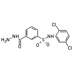 N-(2,5-Dichloro-phenyl)-3-hydrazinocarbonyl-benzenesulfonamide