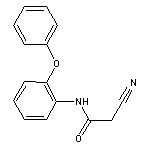 2-Cyano-N-(2-phenoxy-phenyl)-acetamide