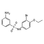 3-Amino-N-(3-bromo-4-ethoxy-phenyl)-benzenesulfonamide