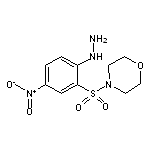 [2-(Morpholine-4-sulfonyl)-4-nitro-phenyl]-hydrazine