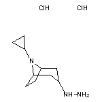 8-cyclopropyl-3-hydrazinyl-8-azabicyclo[3.2.1]octane dihydrochloride