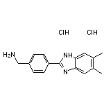 [4-(5,6-dimethyl-1H-1,3-benzodiazol-2-yl)phenyl]methanamine dihydrochloride