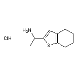 1-(4,5,6,7-tetrahydro-1-benzothiophen-2-yl)ethan-1-amine hydrochloride