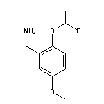 [2-(difluoromethoxy)-5-methoxyphenyl]methanamine