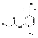 2-chloro-N-(2-methoxy-5-sulfamoylphenyl)acetamide