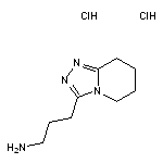 3-{5H,6H,7H,8H-[1,2,4]triazolo[4,3-a]pyridin-3-yl}propan-1-amine dihydrochloride