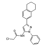 2-chloro-N-[1-phenyl-3-(5,6,7,8-tetrahydronaphthalen-2-yl)-1H-pyrazol-5-yl]acetamide