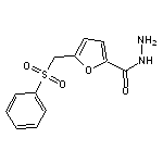 5-[(phenylsulfonyl)methyl]-2-furohydrazide