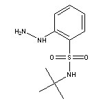 N-tert-butyl-2-hydrazinylbenzene-1-sulfonamide