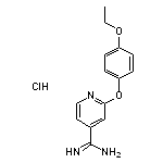 2-(4-ethoxyphenoxy)pyridine-4-carboximidamide hydrochloride