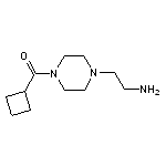 2-(4-cyclobutanecarbonylpiperazin-1-yl)ethan-1-amine