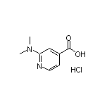 2-(Dimethylamino)isonicotinic Acid Hydrochloride