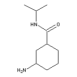 3-amino-N-(propan-2-yl)cyclohexane-1-carboxamide