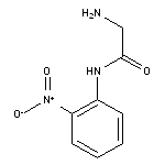 2-amino-N-(2-nitrophenyl)acetamide