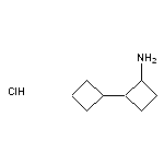 2-cyclobutylcyclobutan-1-amine hydrochloride