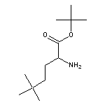 tert-butyl 2-amino-5,5-dimethylhexanoate