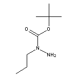 N-propyl(tert-butoxy)carbohydrazide