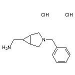 {3-benzyl-3-azabicyclo[3.1.0]hexan-6-yl}methanamine dihydrochloride