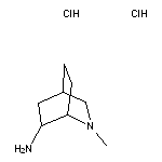 2-methyl-2-azabicyclo[2.2.2]octan-6-amine dihydrochloride