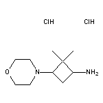 2,2-dimethyl-3-(morpholin-4-yl)cyclobutan-1-amine dihydrochloride