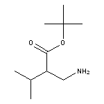 tert-butyl 2-(aminomethyl)-3-methylbutanoate