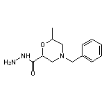 4-benzyl-6-methylmorpholine-2-carbohydrazide