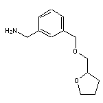 {3-[(oxolan-2-ylmethoxy)methyl]phenyl}methanamine