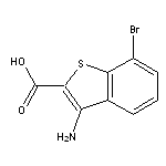 3-amino-7-bromo-1-benzothiophene-2-carboxylic acid