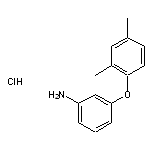 3-(2,4-dimethylphenoxy)aniline hydrochloride