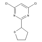 4,6-dichloro-2-(oxolan-2-yl)pyrimidine