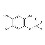 2-Bromo-5-chloro-4-(trifluoromethoxy)aniline