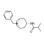 2-Methyl-N-[(3-exo)-8-benzyl-8-azabicyclo[3.2.1]oct-3-yl]propanamide