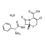 Cefaclor Monohydrate