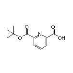 2,6-Pyridinedicarboxylic Acid  2-(tert-Butyl) Ester