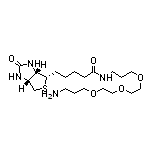 N-(13-Amino-4, 7,10-trioxatridecanyl)biotinamide