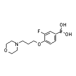 3-Fluoro-4-(3-morpholinopropoxy)phenylboronic Acid