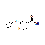 2-(Cyclobutylamino)isonicotinic Acid