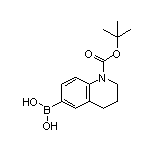 1-Boc-1,2,3,4-tetrahydroquinoline-6-boronic Acid