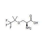 O-(2,2,2-Trifluoro-1,1-dimethylethyl)-L-serine