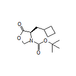 (R)-3-Boc-4-(cyclobutylmethyl)-5-oxooxazolidine