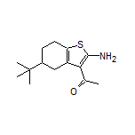 1-[2-Amino-5-(tert-butyl)-4,5,6,7-tetrahydrobenzo[b]thiophen-3-yl]ethanone