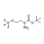 1-Boc-1-[2-(trifluoromethoxy)ethyl]hydrazine