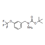 1-Boc-1-[3-(trifluoromethoxy)benzyl]hydrazine