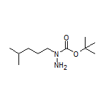 1-Boc-1-(4-methylpentyl)hydrazine